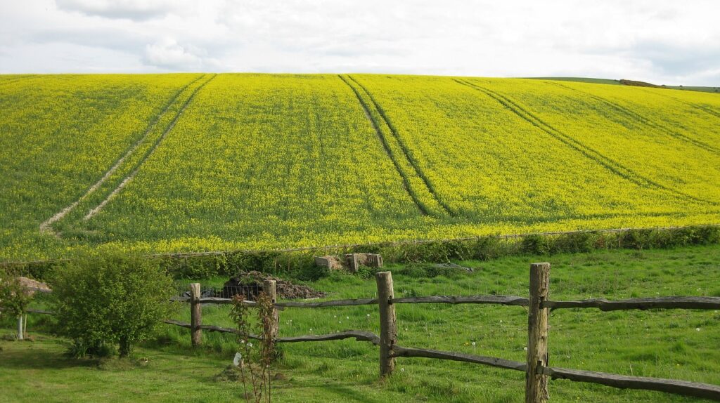 agriculture, field, farm, landscape, nature, hill, horizon, sussex, wooden fence, boundary, summer, boundary, boundary, boundary, boundary, boundary